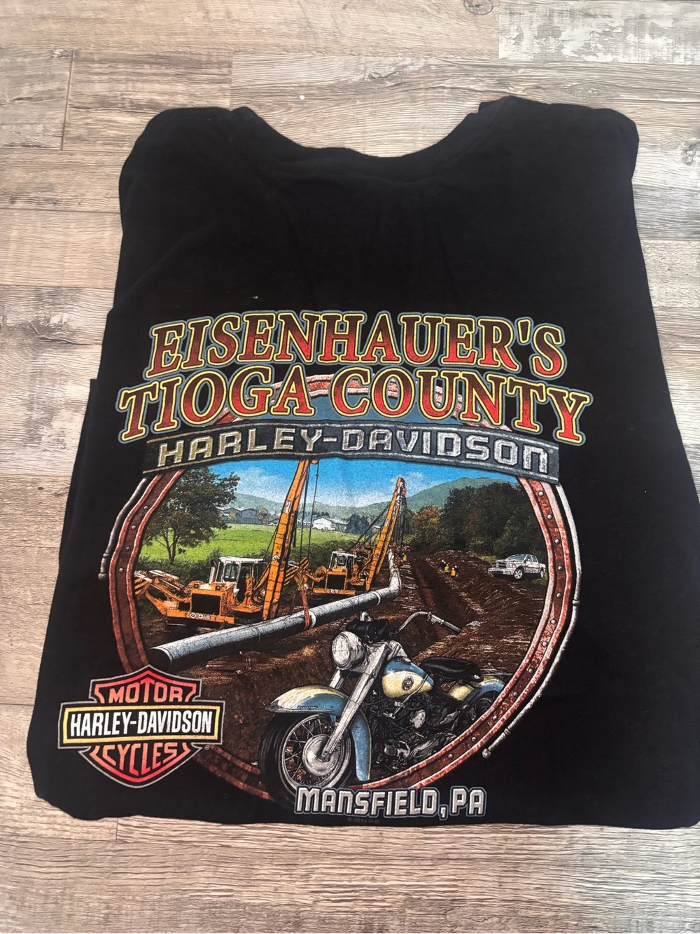 Harley-Davidson Black Tee with Eagle, Motorcycle and Patriotic Accents - Picture 2 of 2